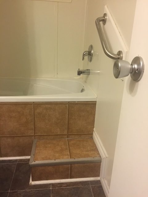 One step and a grab bar